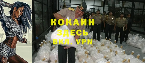 метадон Алексин