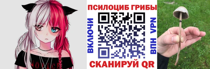 Галлюциногенные грибы GOLDEN TEACHER Невинномысск