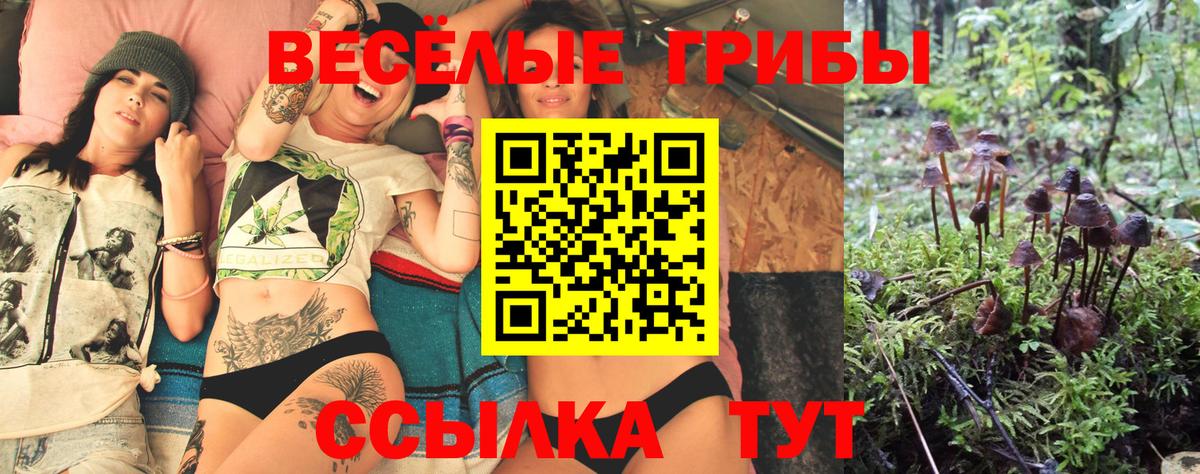Псилоцибиновые грибы GOLDEN TEACHER  Вход с VPN  Невинномысск 